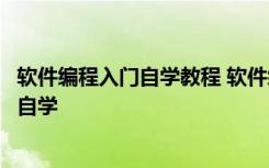 软件编程入门自学教程 软件编程入门怎么自学如何从零开始自学