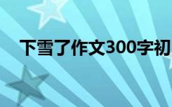 下雪了作文300字初中 下雪了作文300字