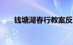 钱塘湖春行教案反思 钱塘湖春行教案