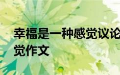 幸福是一种感觉议论文 幸福其实就是一种感觉作文