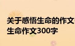 关于感悟生命的作文600字3篇 感悟人生感悟生命作文300字