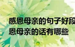 感恩母亲的句子好段感恩母亲的话语简短 感恩母亲的话有哪些