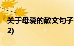 关于母爱的散文句子 有关于母爱的散文集锦(2)