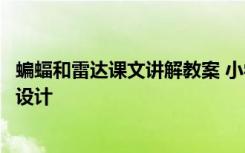 蝙蝠和雷达课文讲解教案 小学语文《蝙蝠和雷达》优秀教案设计