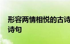 形容两情相悦的古诗句 形容两情相悦的经典诗句