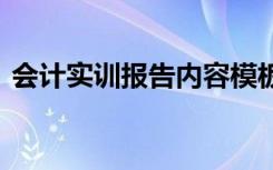 会计实训报告内容模板 会计的实训报告内容