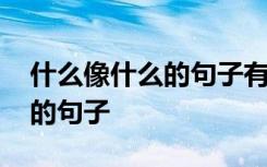 什么像什么的句子有哪些二年级 什么像什么的句子