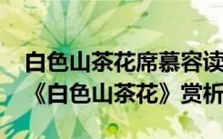 白色山茶花席慕容读后感300-500字 席慕容《白色山茶花》赏析