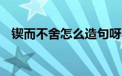 锲而不舍怎么造句呀 用锲而不舍怎么造句