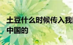 土豆什么时候传入我国的? 土豆什么时候传入中国的