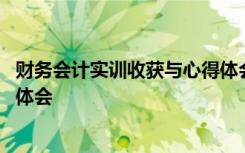 财务会计实训收获与心得体会总结 财务会计实训收获与心得体会