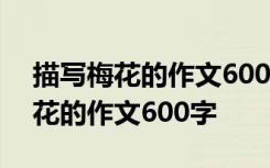 描写梅花的作文600字优秀作文大全 描写梅花的作文600字