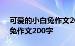 可爱的小白兔作文200字怎么写 可爱的小白兔作文200字