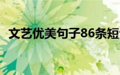 文艺优美句子86条短句 文艺优美句子86条