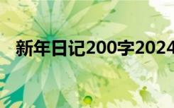 新年日记200字2024年 新年的日记200字