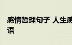 感情哲理句子 人生感悟 感情哲理经典句子短语