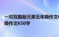 一对双胞胎兄弟五年级作文650字评语 一对双胞胎兄弟五年级作文650字