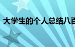 大学生的个人总结八百字 大学生的个人总结