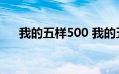 我的五样500 我的五样作文初中800字