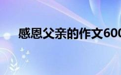 感恩父亲的作文600字 感恩父亲的作文