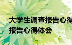 大学生调查报告心得体会800字 大学生调查报告心得体会