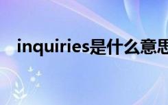 inquiries是什么意思 inquiry是什么意思