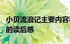 小贝流浪记主要内容和读后感 《小贝流浪记》的读后感