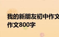 我的新朋友初中作文800字 我的新朋友初一作文800字