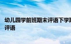 幼儿园学前班期末评语下学期怎么写 最新幼儿园学前班期末评语