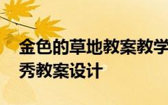 金色的草地教案教学设计 《金色的草地》优秀教案设计