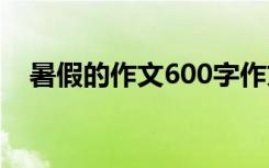 暑假的作文600字作文 暑假的作文600字