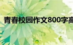 青春校园作文800字高中生 青春的校园作文