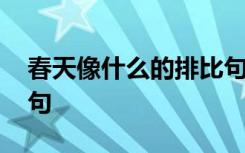 春天像什么的排比句拟人 春天像什么的排比句