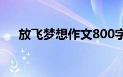 放飞梦想作文800字以上 放飞梦想作文