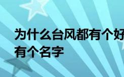 为什么台风都有个好听的名字 为什么台风都有个名字