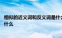 相似的近义词和反义词是什么意思 相似的近义词和反义词是什么