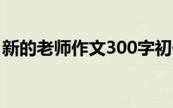 新的老师作文300字初一 新的老师作文300字