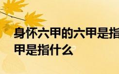 身怀六甲的六甲是指什么动物 身怀六甲的六甲是指什么