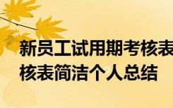 新员工试用期考核表怎么写 新员工试用期考核表简洁个人总结