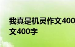 我真是机灵作文400字四年级 我真是机灵作文400字