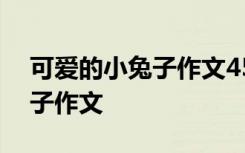 可爱的小兔子作文450字四年级 可爱的小兔子作文