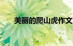 美丽的爬山虎作文 神奇的爬山虎作文