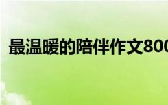 最温暖的陪伴作文800字 最温暖的陪伴作文