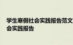 学生寒假社会实践报告范文 学生寒假社会实践报告-寒假社会实践报告