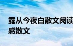 露从今夜白散文阅读理解答案 露从今夜白情感散文