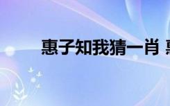 惠子知我猜一肖 惠子知我优秀散文