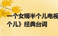 一个女婿半个儿电视剧演员表 《一个女婿半个儿》经典台词