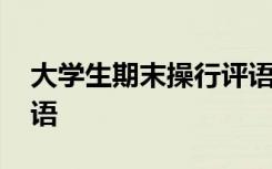 大学生期末操行评语简短 大学生期末操行评语