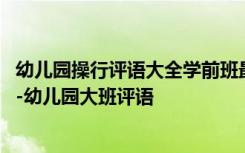 幼儿园操行评语大全学前班最新 第一学期大班幼儿操行评语-幼儿园大班评语