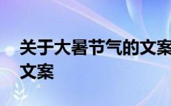 关于大暑节气的文案怎么写 关于大暑节气的文案